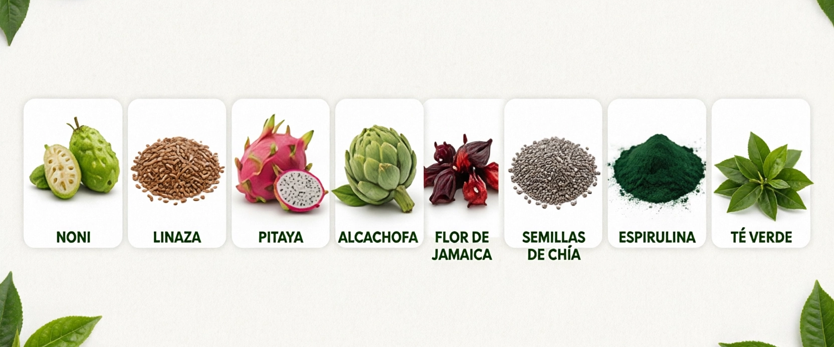 Ingredientes de Coliplus
